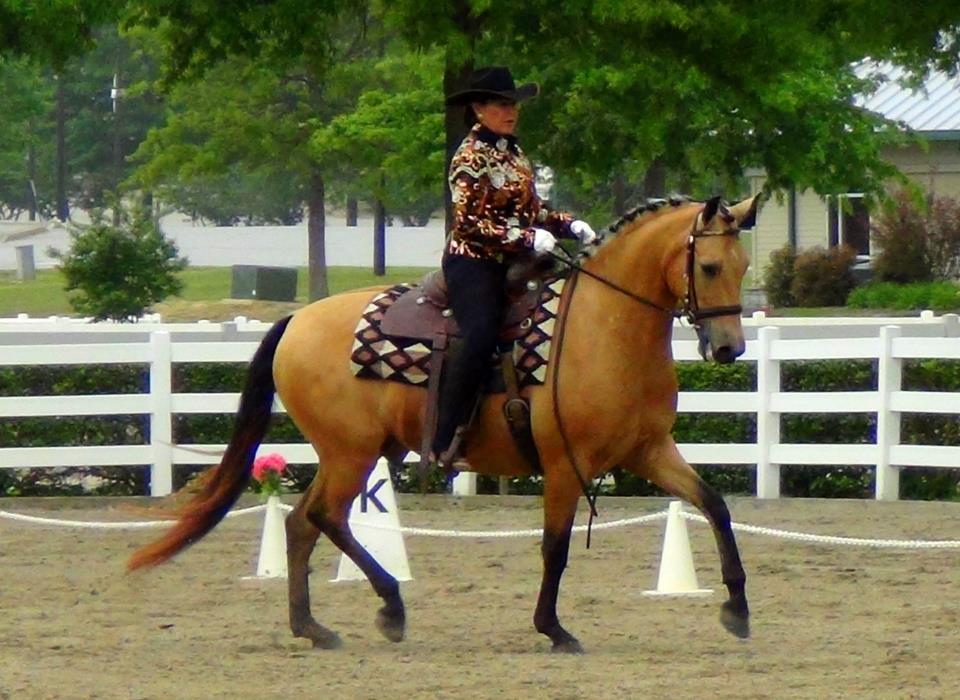 Top 5 reasons to love Western Dressage