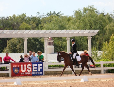 North Atlanta Equestrian Adds Western Dressage Classes to Show Series