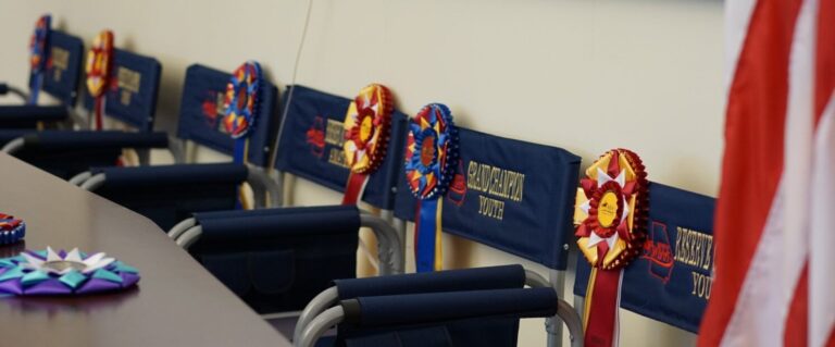 2026 WDAGA High Point Virtual Show Awards Program