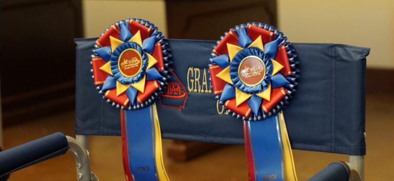 2026 WDAGA High Point Live (In-Person) Show Awards Program