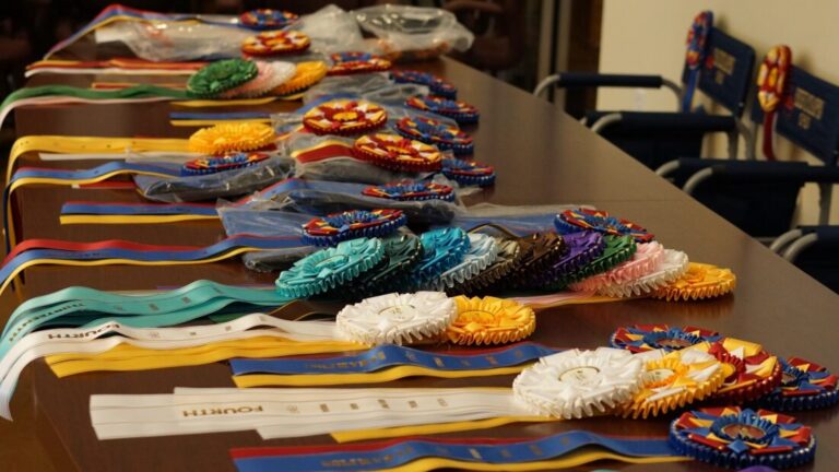 2026 Rookie of the Year Award Program